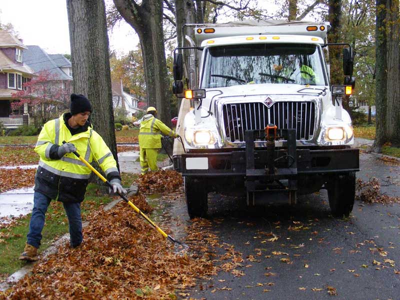 Leaf removal